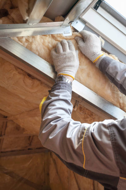 Best Blown-in Insulation  in Carolina Beach, NC