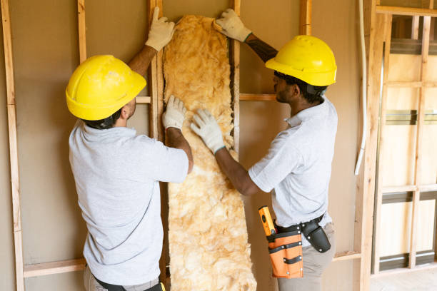 Best Crawl Space Insulation  in Carolina Beach, NC