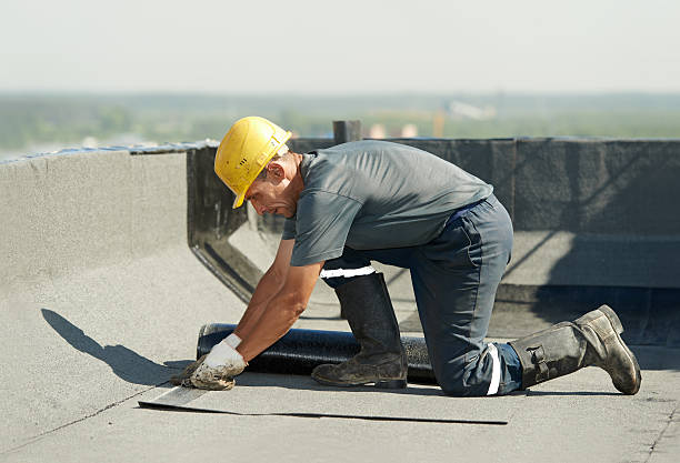 Best Commercial Insulation Contractor  in Carolina Beach, NC