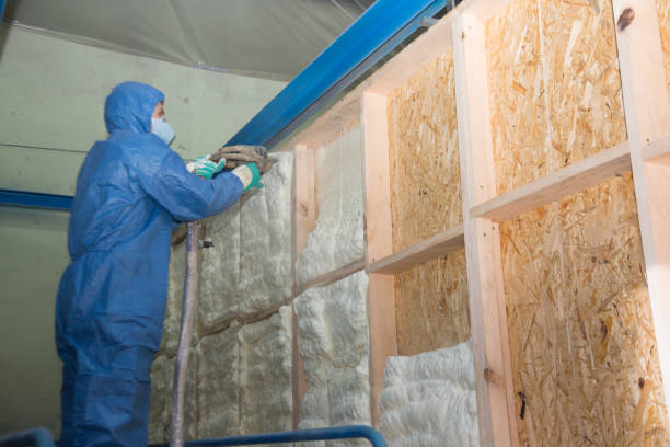 Best Insulation for Commercial Buildings  in Carolina Beach, NC