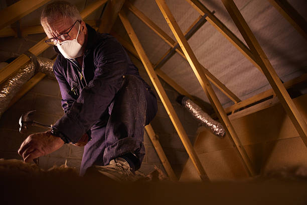 Best Local Insulation Services  in Carolina Beach, NC
