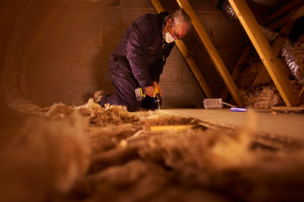 Best Affordable Insulation Services  in Carolina Beach, NC