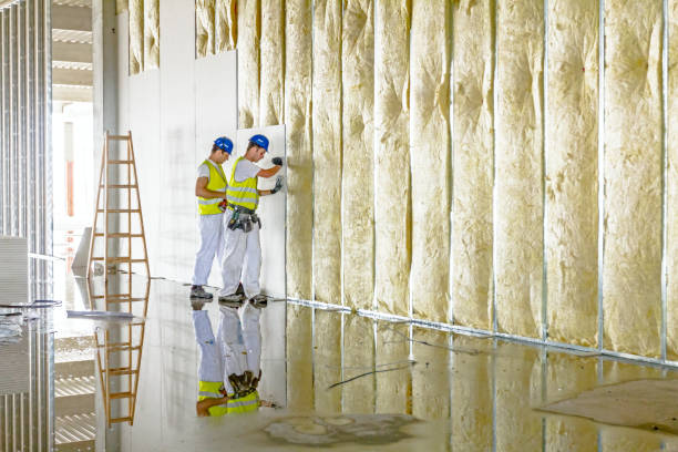 Best Insulation for New Construction  in Carolina Beach, NC